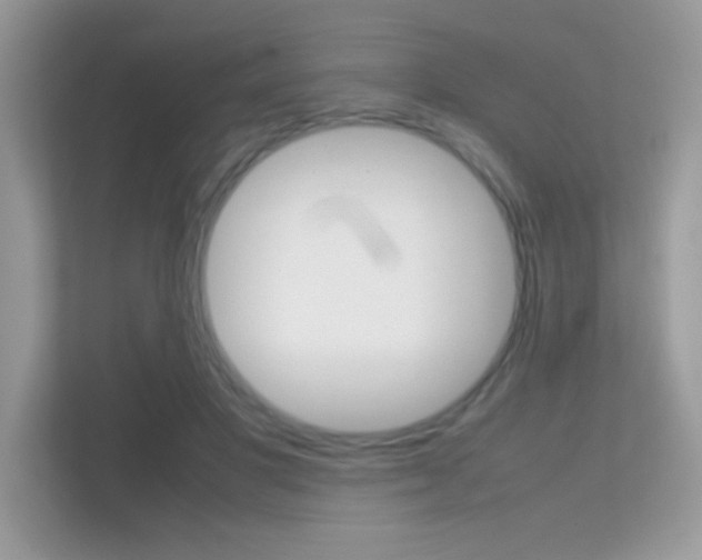 X0000112410501200908141028