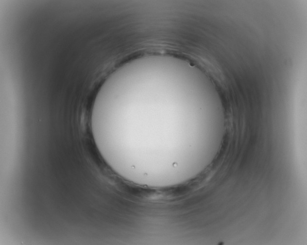X0000112410504200908141028