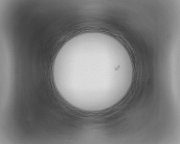 X0000112410505200908141028