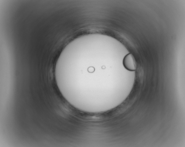 X0000112410506200908141028