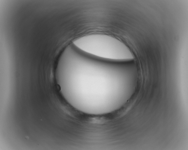 X0000112410508200908141028