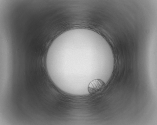 X0000112410512200908141028