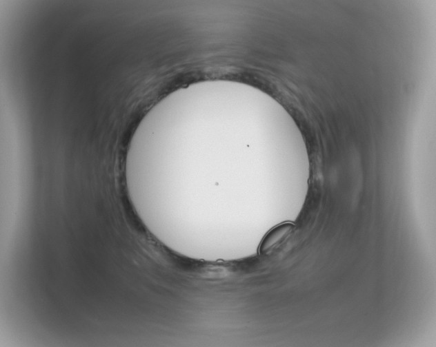 X0000112410519200908141028