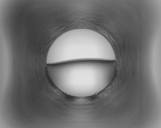 X0000112410521200908141028