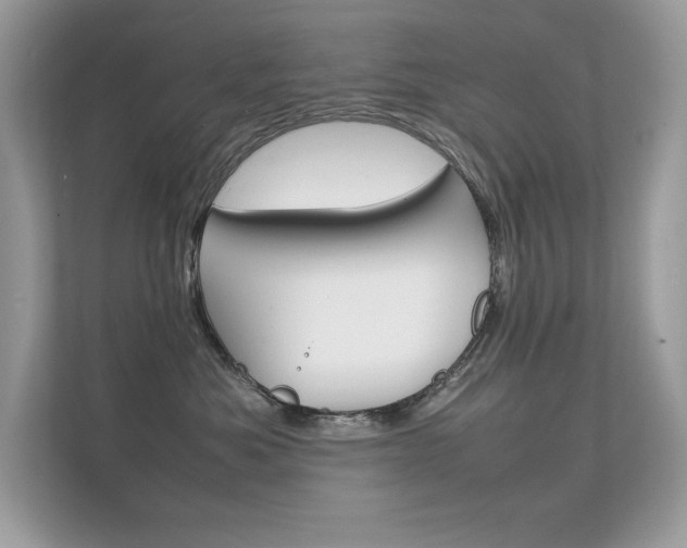 X0000112410525200908141028
