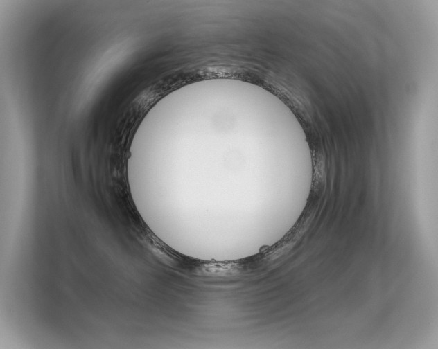 X0000112410526200908141028