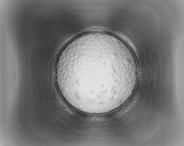X0000112410529200908141027