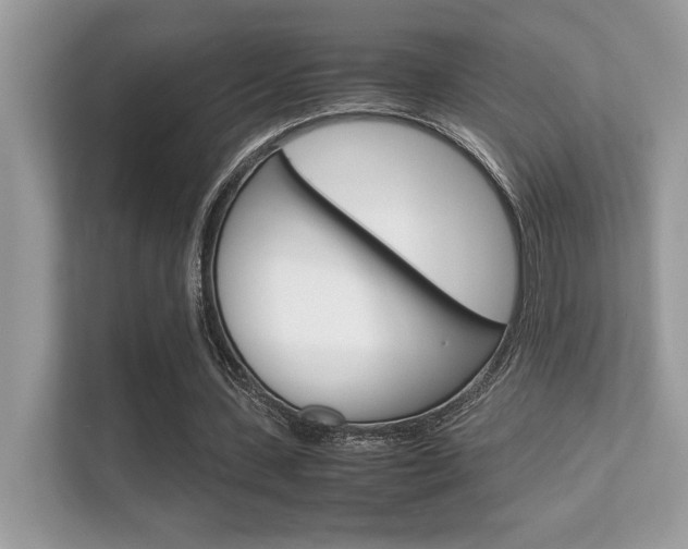 X0000112410531200908141027