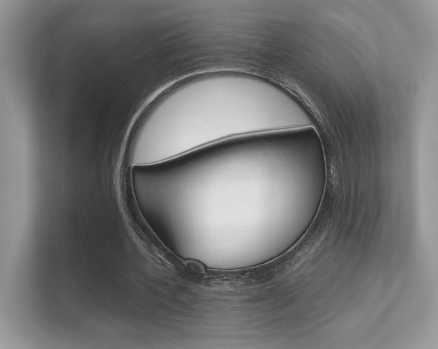 X0000112410532200908141027