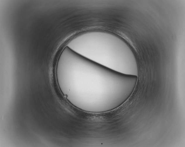 X0000112410535200908141027