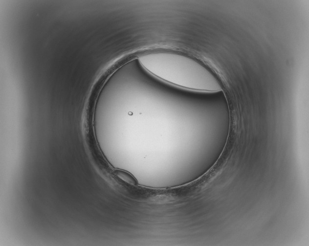 X0000112410536200908141027
