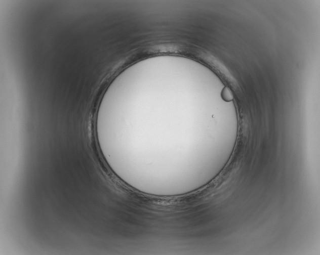 X0000112410537200908141027