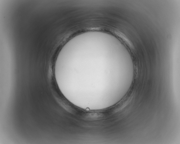 X0000112410541200908141027