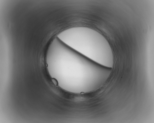 X0000112410547200908141027