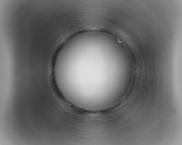 X0000112410548200908141027