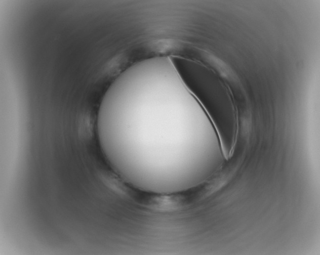 X0000112410558200908141028