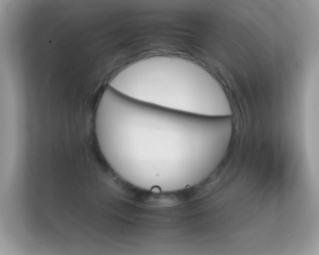 X0000112410559200908141028
