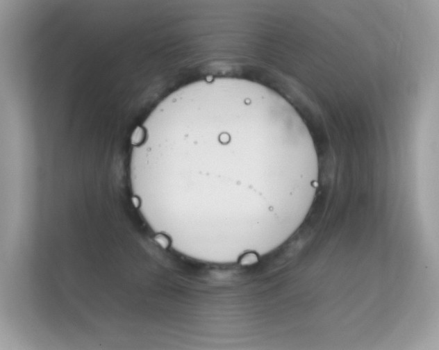 X0000112410560200908141028