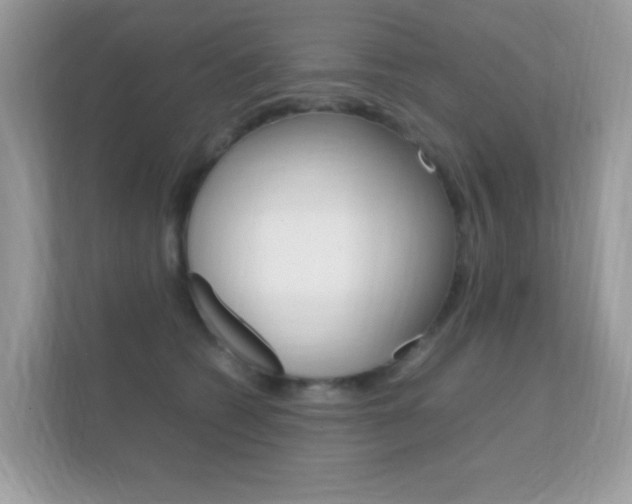 X0000112410562200908141028