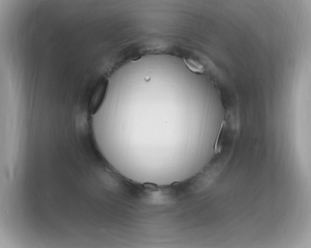 X0000112410564200908141028