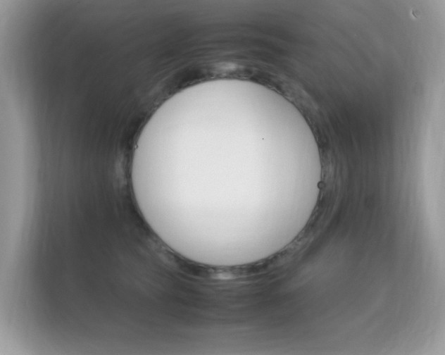 X0000112410565200908141028