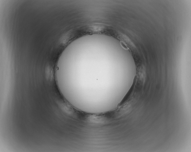 X0000112410568200908141028