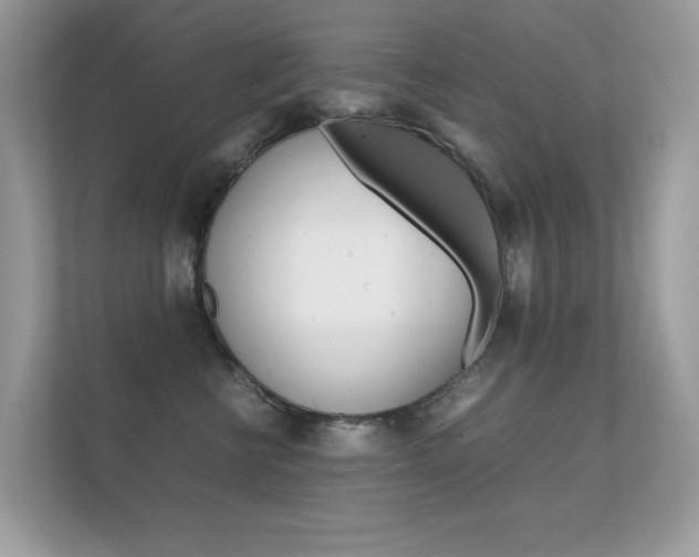 X0000112410570200908141028