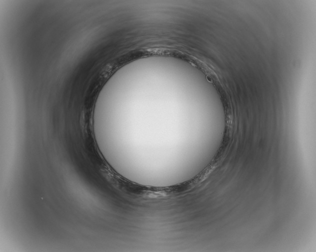X0000112410572200908141028