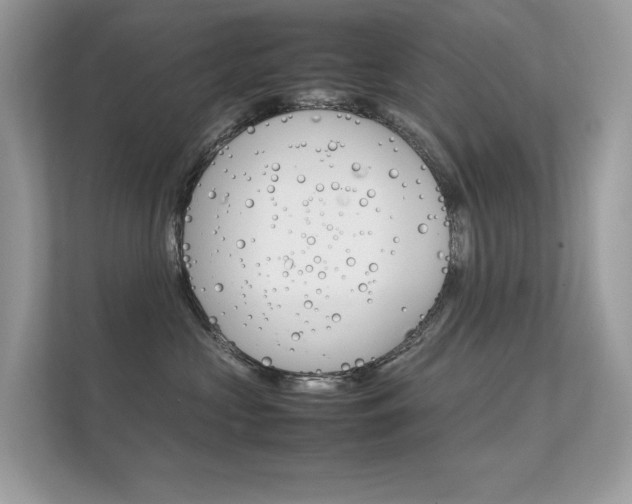 X0000112410573200908141028