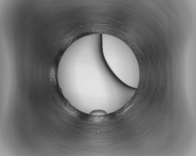 X0000112410575200908141028