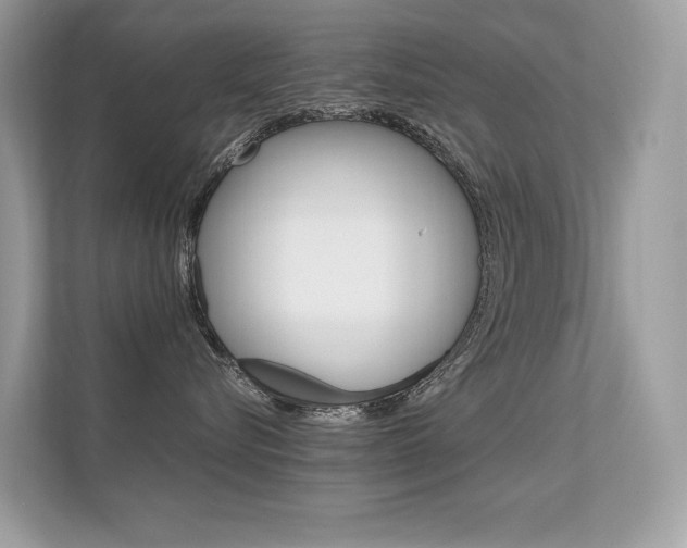 X0000112410576200908141028
