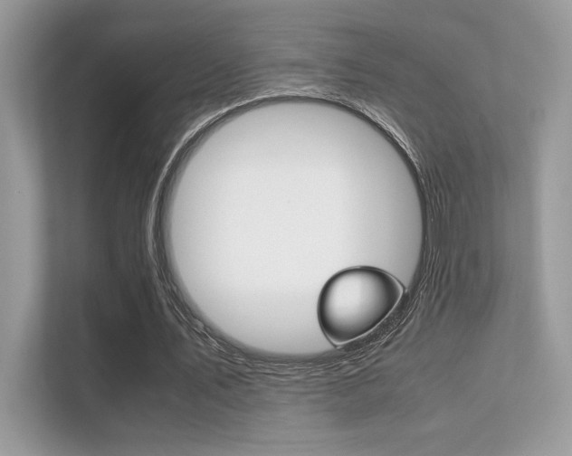 X0000112410579200908141027