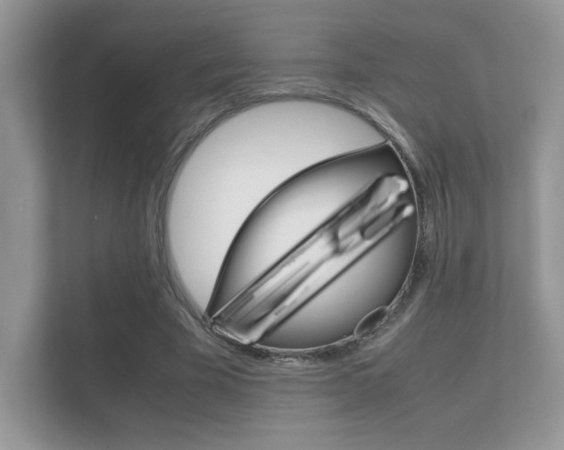 X0000112410585200908141027