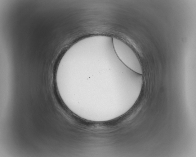 X0000112410589200908141027