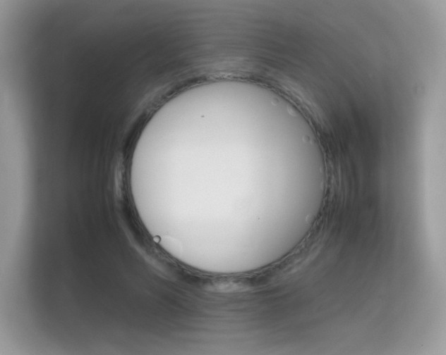X0000112410590200908141027