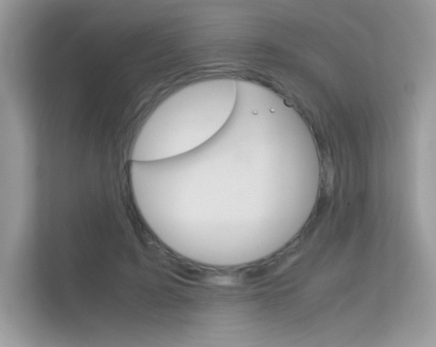 X0000112410595200908141027