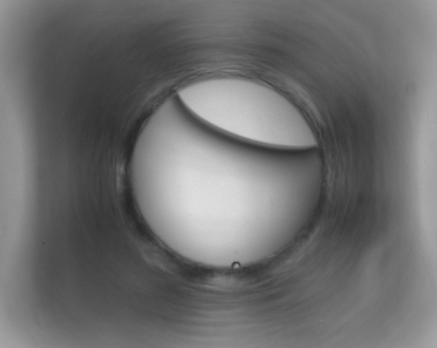 X0000112410596200908141027