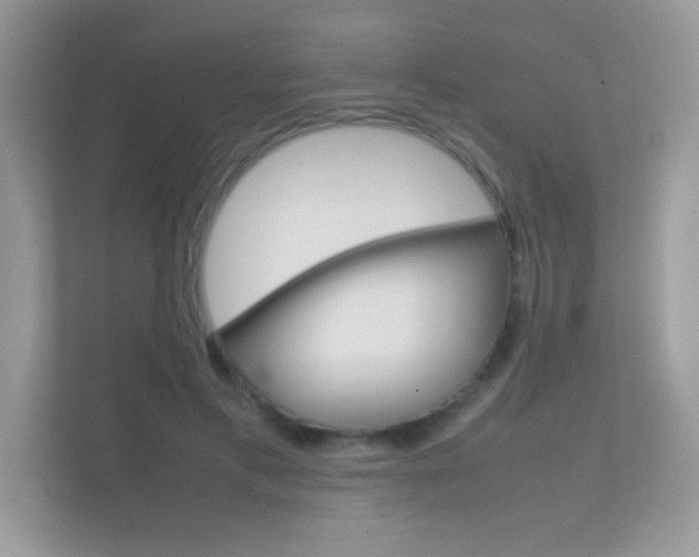 X0000112410597200908141027