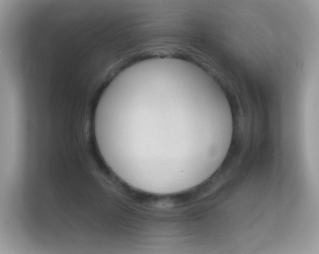 X0000112410600200908141027