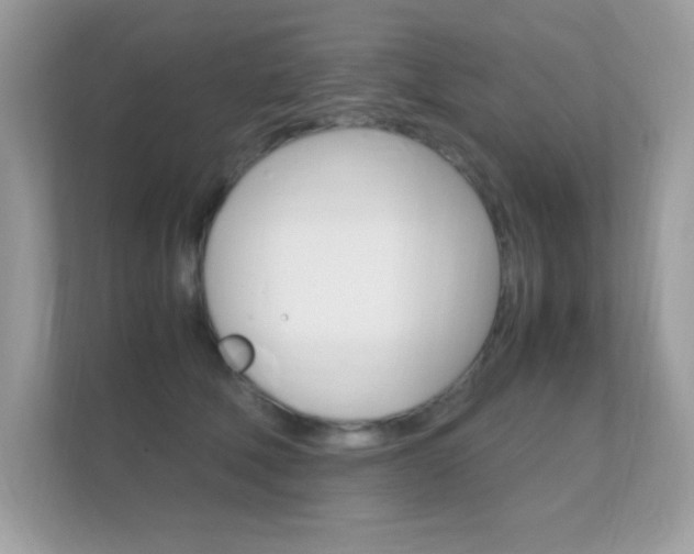 X0000112410610200908141027