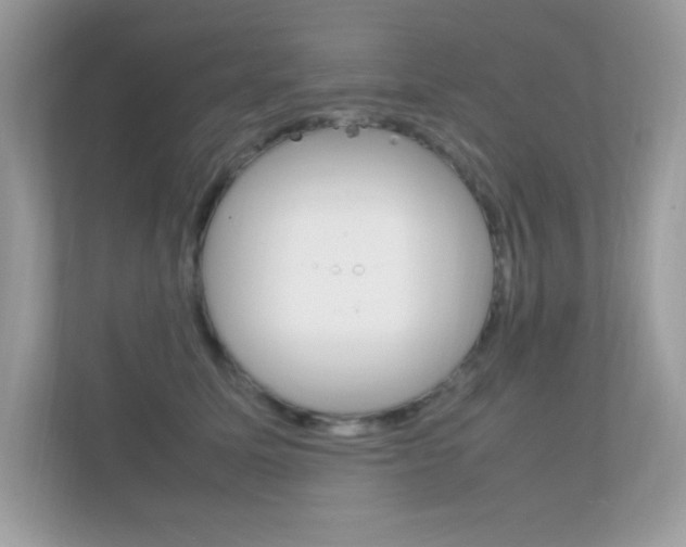X0000112410611200908141027