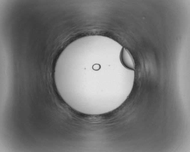 X0000112410615200908141027