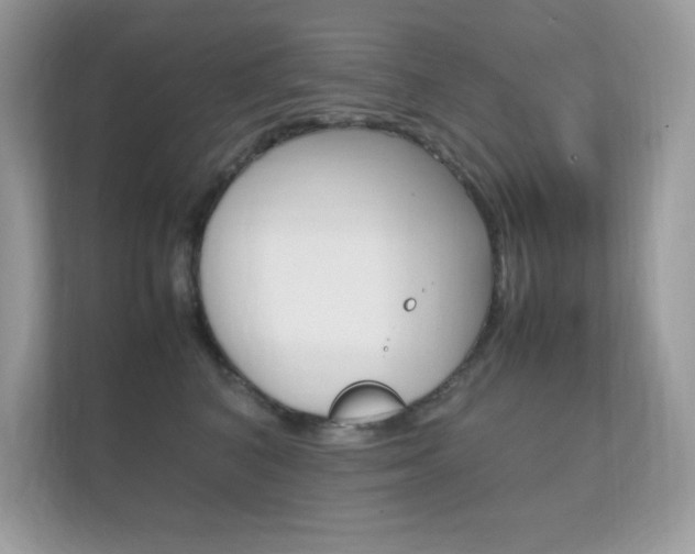 X0000112410616200908141027