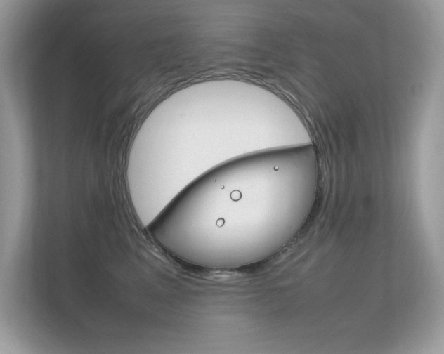 X0000112410617200908141027