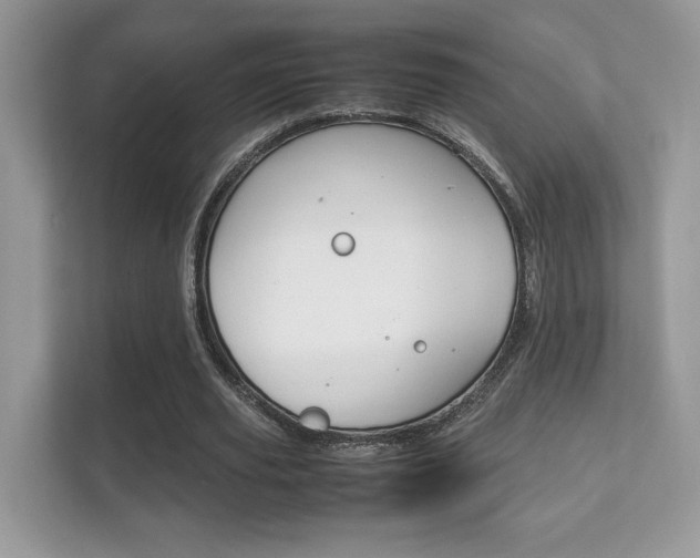 X0000112410629200908141026