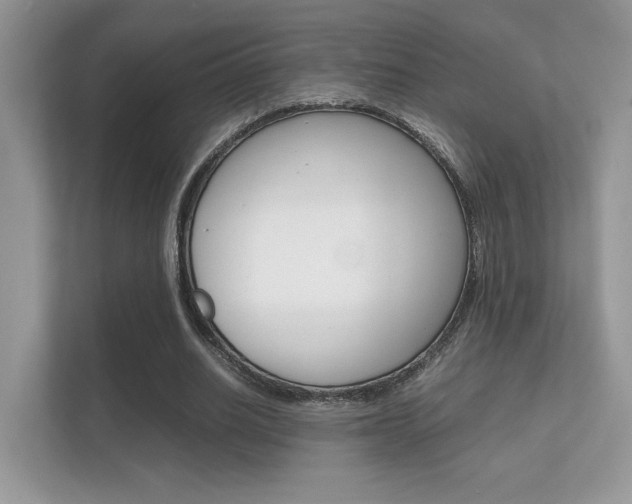X0000112410630200908141026