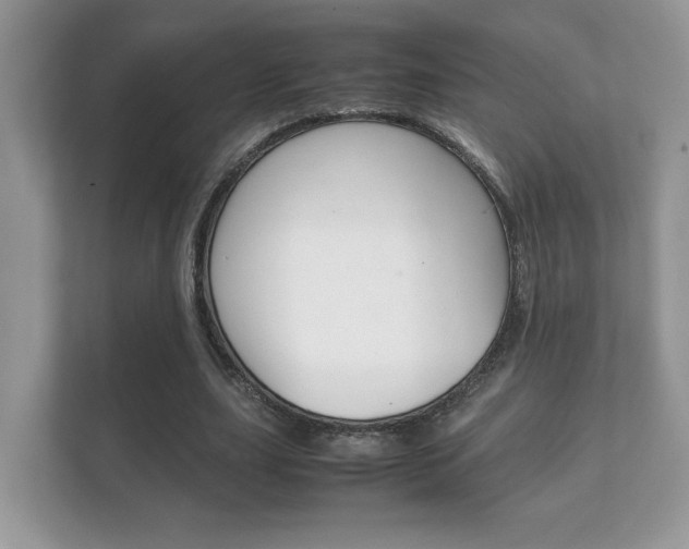 X0000112410631200908141026