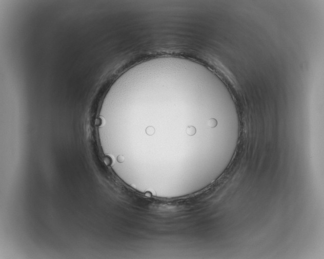 X0000112410635200908141026