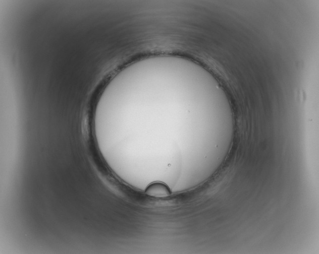 X0000112410638200908141026