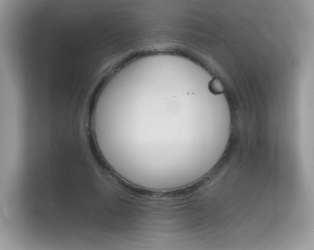 X0000112410640200908141026